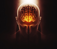 NLP Master Practitioner 